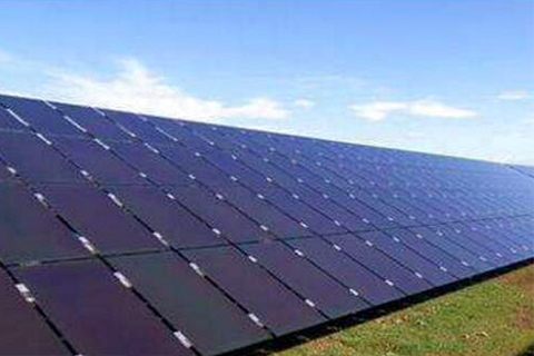 क्या एक पालतू जानवर हाइड्रोलिसिस के लिए प्रतिरोधी है?